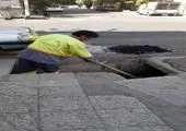 زیستگاه جانوران موذی در منطقه۲ طعمه گذاری شد

