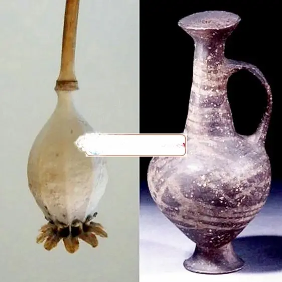 محل نگهداری تریاک در 3500سال پیش+عکس