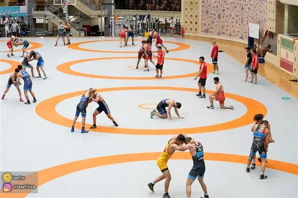 آغاز اردوی تیم ملی کشتی فرنگی در آبان ماه