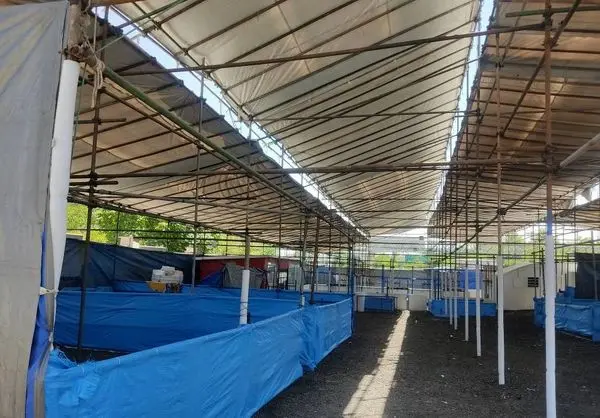 جایگاه عرضه بهداشتی دام در شمال تهران آماده سازی شد