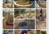از صدور ۱۵۰۰ پروانه ساختمانی تا ارتقای سرانه‌های فضای سبز بافت فرسوده منطقه ۱۵