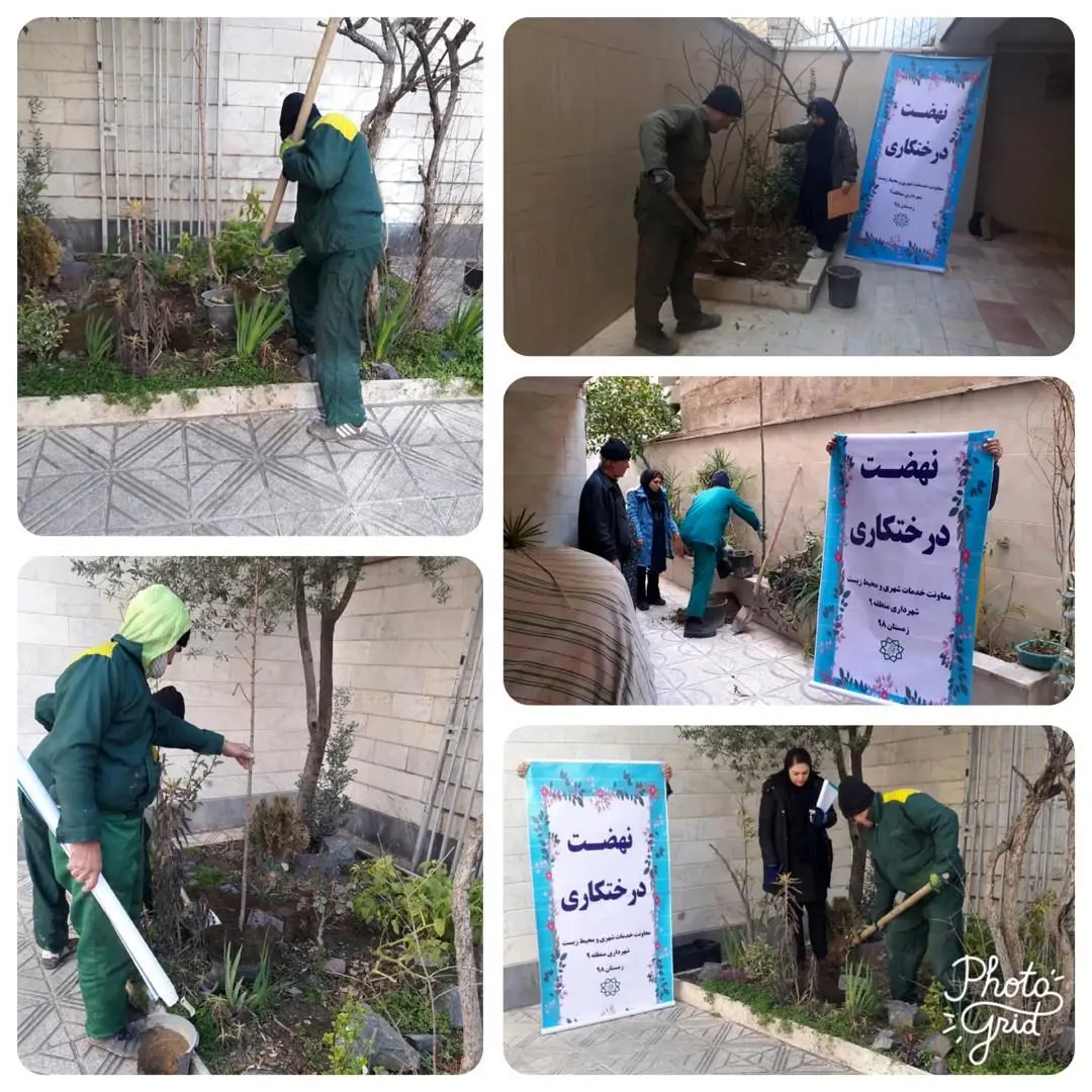 12000 اصله درخت در غرب تهران کاشته می شود 