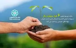 برنامه پرداخت 6 هزار میلیارد ریال تسهیلات اشتغال زایی بانک توسعه تعاون به مددجویان نهاد های حمایتی

