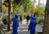 نهضت جمع آوری پسماندهای خشک در منطقه 4