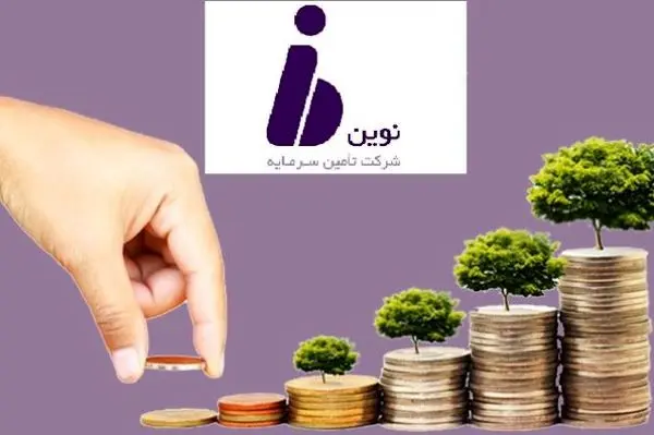 مجوز افزایش سرمایه 33 درصدی «تنوین» صادر شد