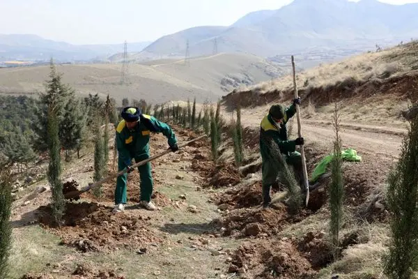 آغاز کاشت ۱۵ هزار نهال در بوستان جنگلی سرخه حصار