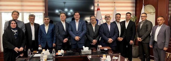 پتروشیمی اروند با اتکا به توان داخلی، سیستم سنکرون چک را احیا کرد

