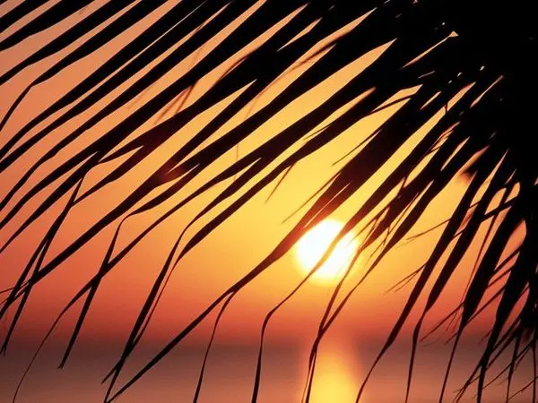 طلوع آفتاب در قطب شمال! +عکس