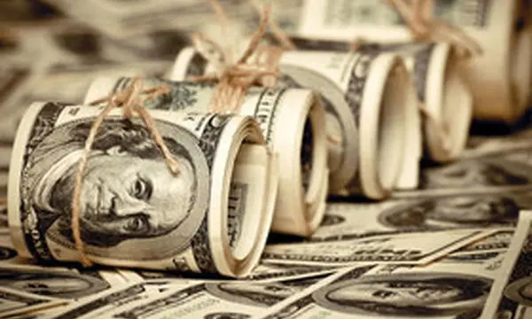 تأمین ارز خدماتی دستگاه‌های دولتی فقط از طریق سامانه جدید از اول آبان