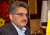 قوانین حامی تولید یا مخرب تولید