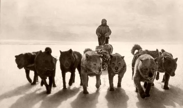 سفر به قطب جنوب در ۱۰۷ سال قبل+عکس