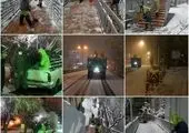 بازدید میدانی شهردار ناحیه۵ از محور خیابان ولی عصر(عج) 

