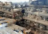 کمک یک میلیارد و 100 میلیون تومانی خیّر قمی برای تأمین پوشاک مددجویان کمیته امداد 

