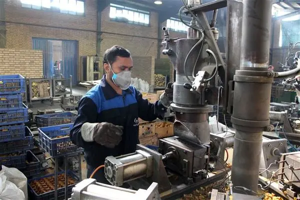 استقبال 11 هزار کارگاه از بخشودگی جرایم بیمهای در کمتر از یک ماه