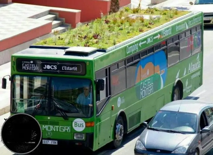 پوشش گیاهی روی سقف اتوبوس ها برای کاهش آلودگی+عکس