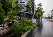 کاهش دما در برخی استان‌ها

