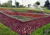 فلاورباکس ها جای مخازن زباله را در شهرک والفجر گرفتند 

