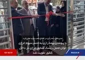 «رازی» به کنسرسیوم بیمه‌های انرژی کشور راه یافت