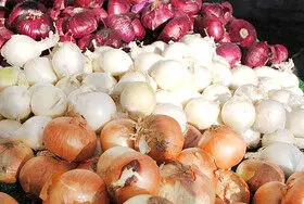 نیازمند برنامهریزی و سیاستگذاری مشخص هستیم