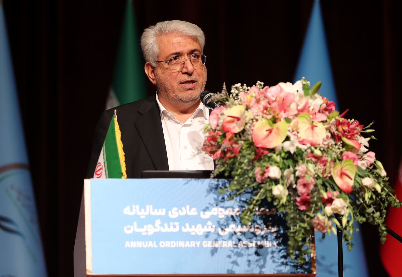 مدیرعامل پتروشیمی شهید تندگویان در پیامی حضور در انتخابات را نماد مشارکت مردم در سرنوشت خویش دانست

