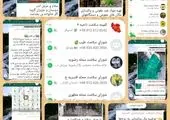 تشکیل گروه مجازی شورای سلامت در منطقه سه 

