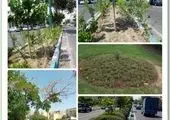 اجرای طرح تفکیک پسماند در شهرک شهید خرازی 

