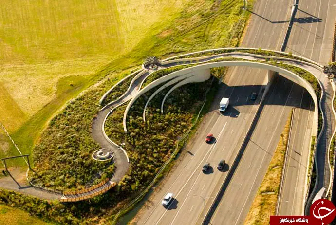 
پل عابر پیاده متفاوت و فوق العاده زیبا + عکس
