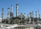 برگزاری باشکوه نمایشگاه دام و طیور اصفهان با حضور 170 شرکت معتبر

