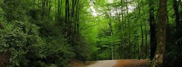 پیشرفت ۴۰ درصدی پروژه‌ های آبخیزداری

