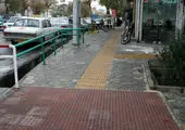 برگزاری ویژه برنامه روز سالمند در بوستان پایداری منطقه ۳ 

