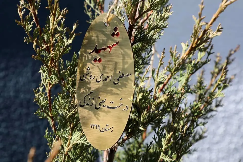 کاشت نهال به نام شهدای هسته ای در منطقه13

