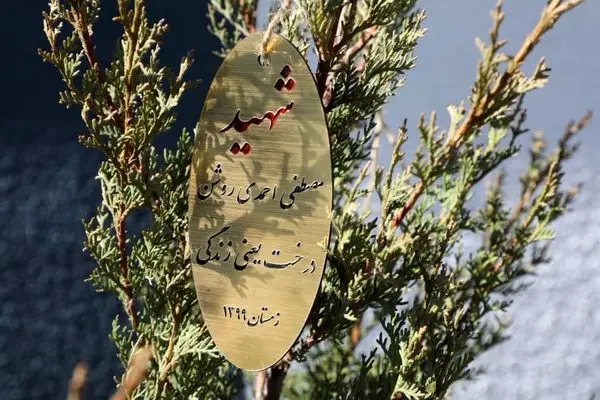 کاشت نهال به نام شهدای هسته ای در منطقه13