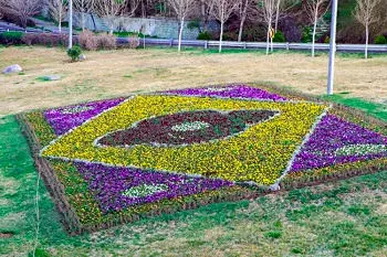 فرش های گل زینت بخش  بزرگراه های منطقه ۲ پایتخت  شد