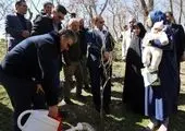 رونمایی از گرین‌سین: توکنی که سینما و محیط زیست را در دنیای موازی به هم گره می‌زند