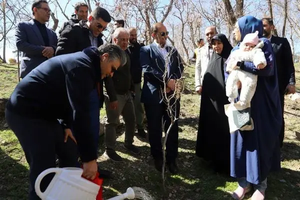 کاشت نهال به نام شهدا و نوزادان تازه متولد شده در منطقه 3 

