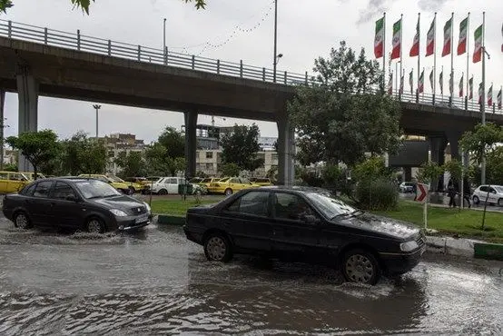 عذرخواهی ویژه احمدی نژاد به دلیل مشکلات اخیر+عکس