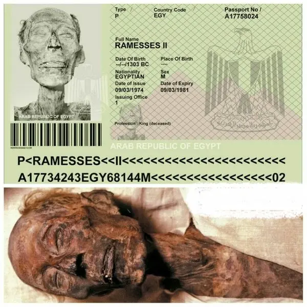 پاسپورت برای یک مومیایی ثروتمند+عکس