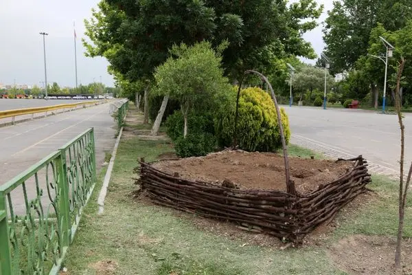 بوستان بزرگ ولایت مزین به سه سبد گل می شود