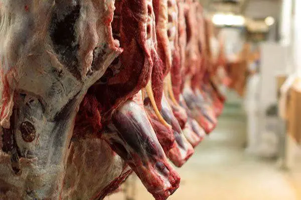 کاهش نسبی قیمت گوشت قرمز