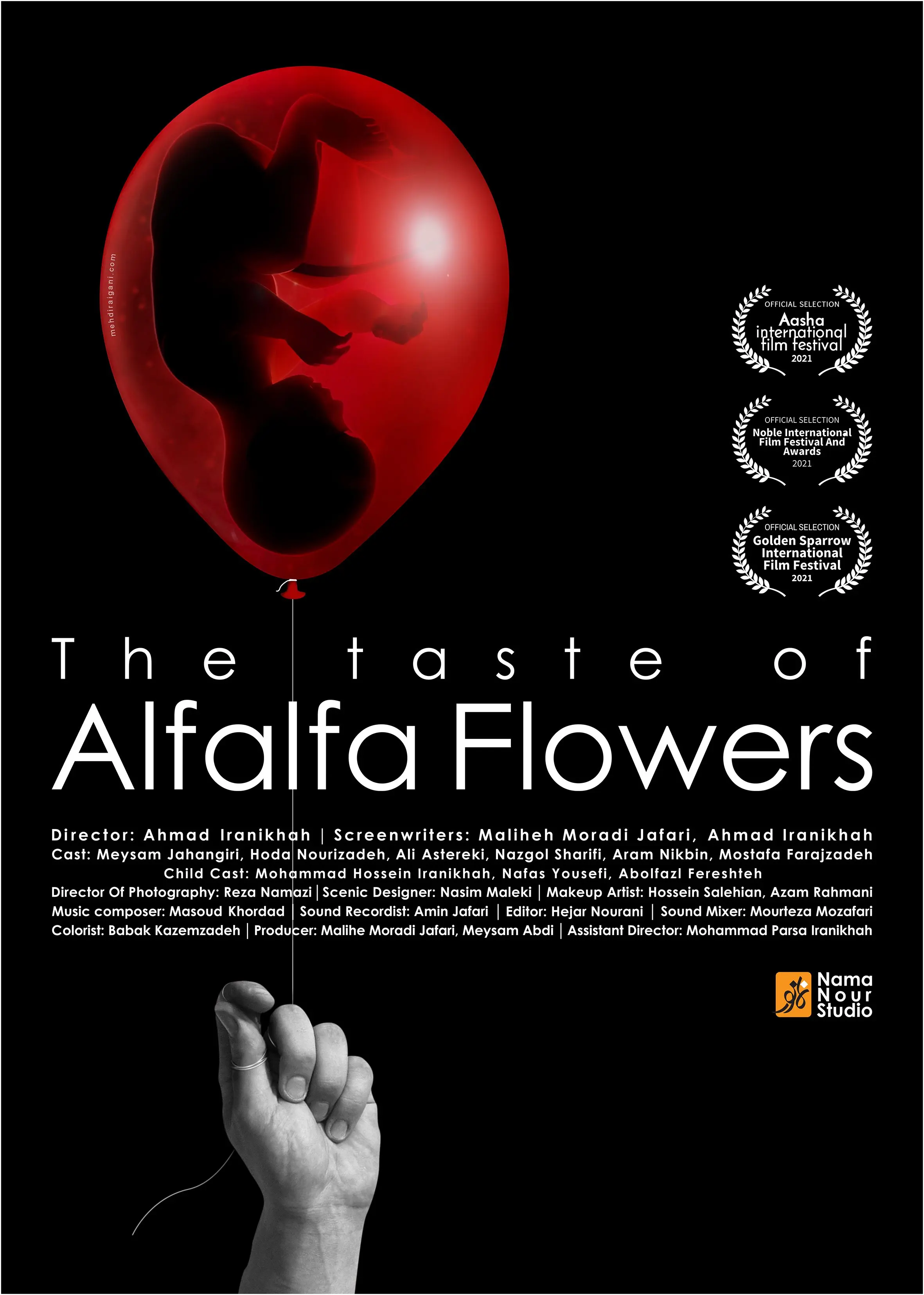 فیلم کوتاه "طعم گلهای یونجه" در راه فستیوال های جهانی 