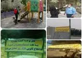 پیگیری رفع خطر از  250 ساختمان نا ایمن در بخش مرکزی شهر تهران انجام شد

