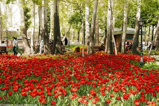 قانون عجیب یک پارک برای ورود زنان! + تصاویر