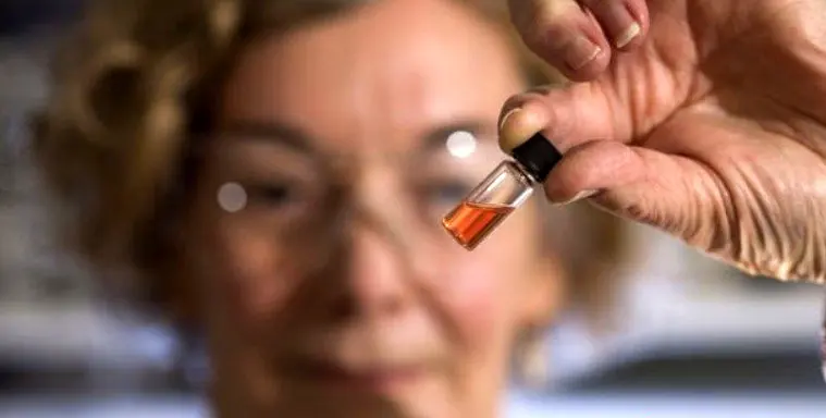 قدیمی‌ترین رنگ دنیا در فسیل یک میلیارد ساله + عکس