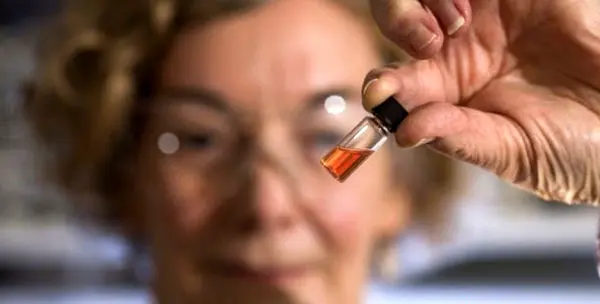 قدیمیترین رنگ دنیا در فسیل یک میلیارد ساله + عکس