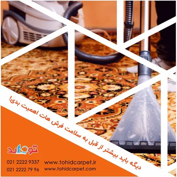 چگونه بوی تخم مرغ مانده را از فرش پاک کنیم؟