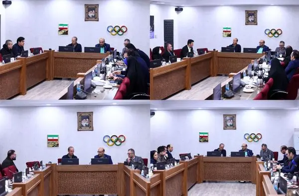 برگزاری نشست تخصصی کمیته ملی المپیک با مسئولان فدراسیون‌های بوکس، روئینگ، کشتی و ووشو