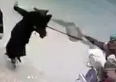 تمرکز راهبردی بر گفتمان جبهه مقاومت در برنامه‌های فرهنگی پیاده روی اربعین حسینی در قرارگاه منطقه ۳ چذابه