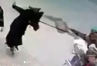 
اقدام وحشیانه سارق برای سرقت کیف زن محجبه! + عکس
