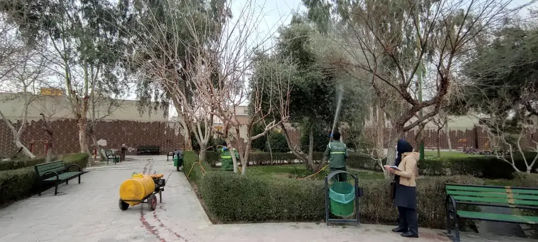 پرونده های گیاه پزشکی درختان کهنسال در بخش مرکزی شهر تهران تکمیل شد

