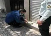 اکران سازه های ثابت و موقت مناسبتی در شمال شرق پایتخت

